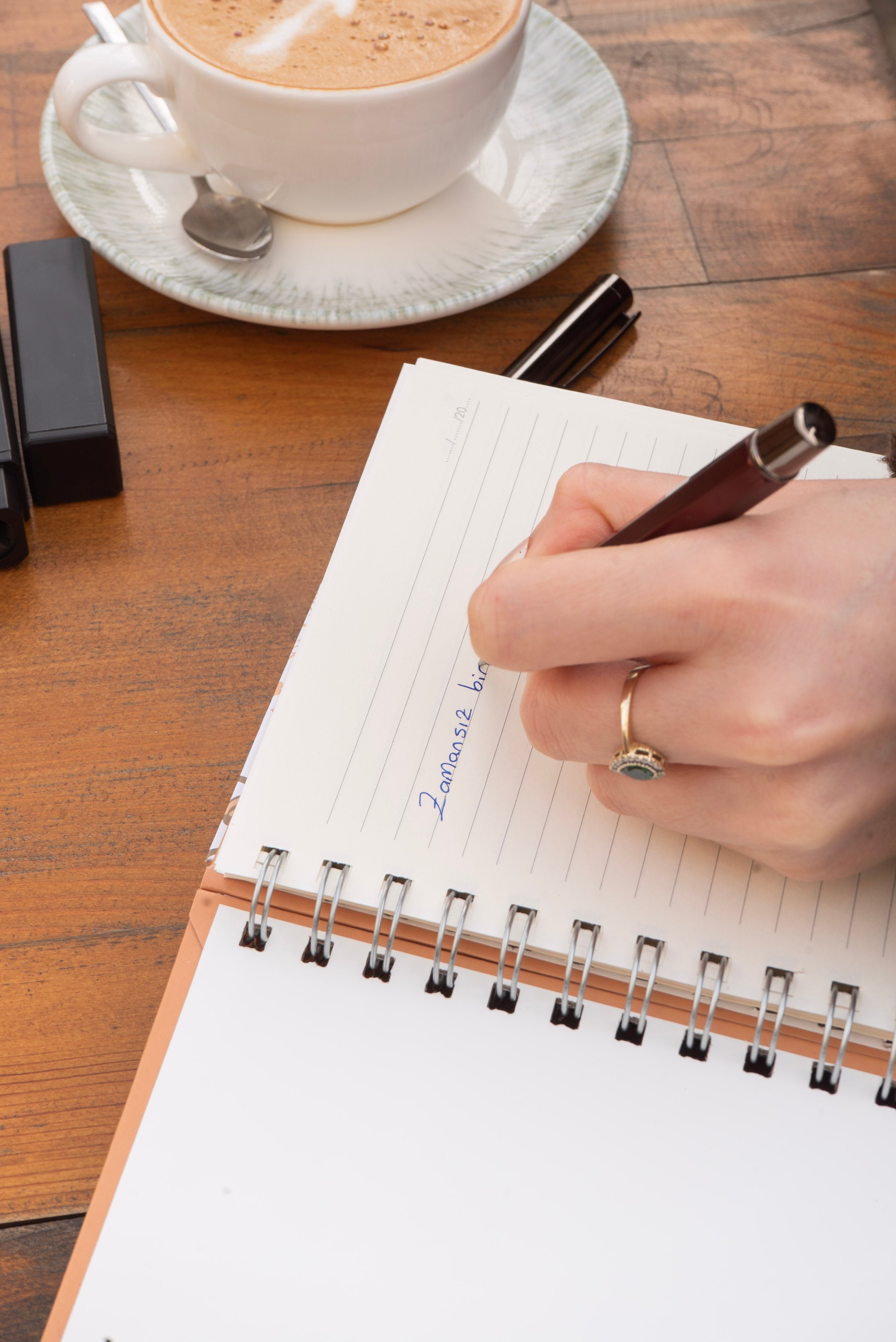 Telli Defter, Tarihsiz Ajanda, Anı Defteri - Gün Işığı