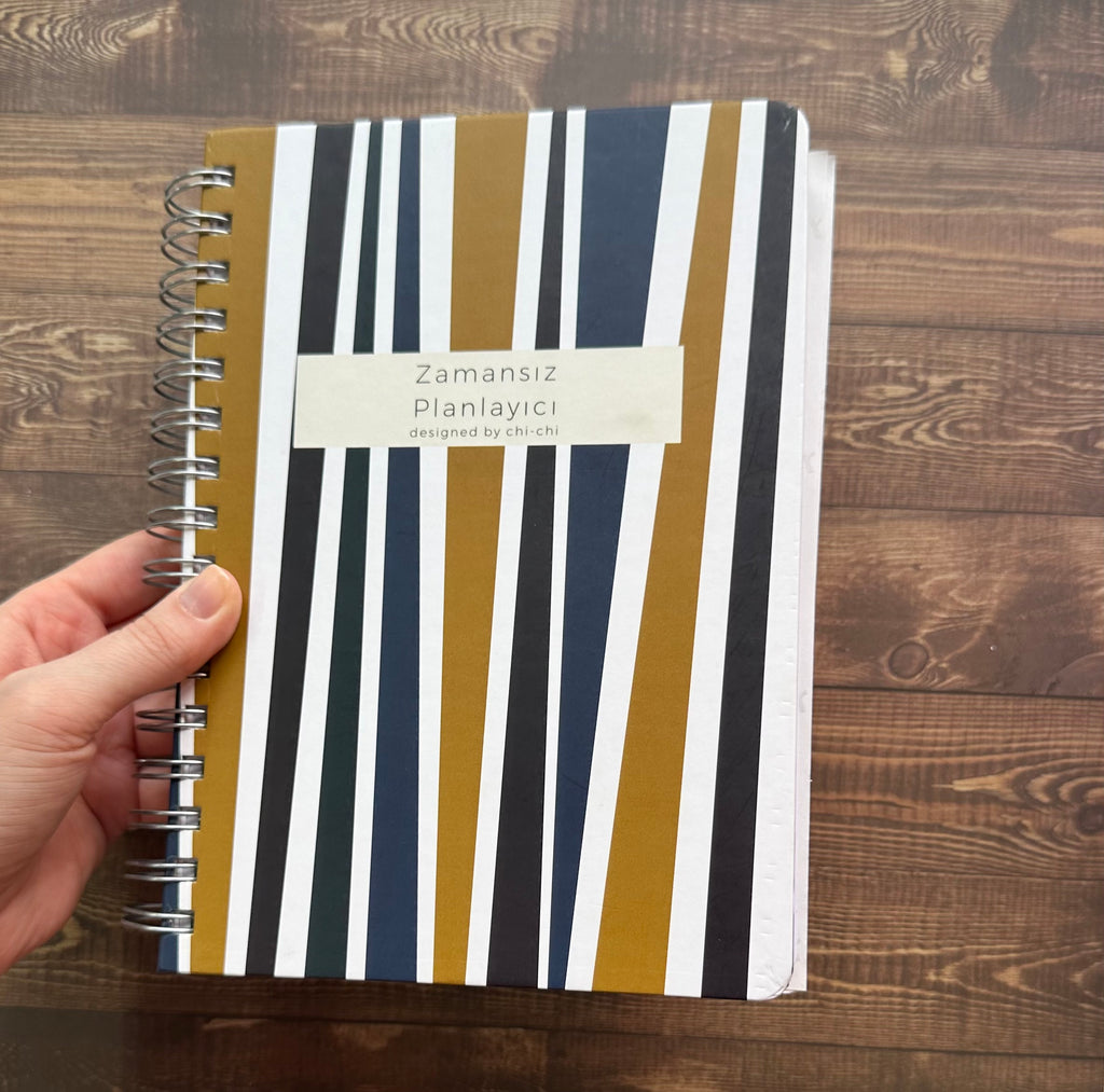 Kapakta Çizilme/Tel İzi Kusurlu || Zamansız Planlayıcı - Kelly Mavi