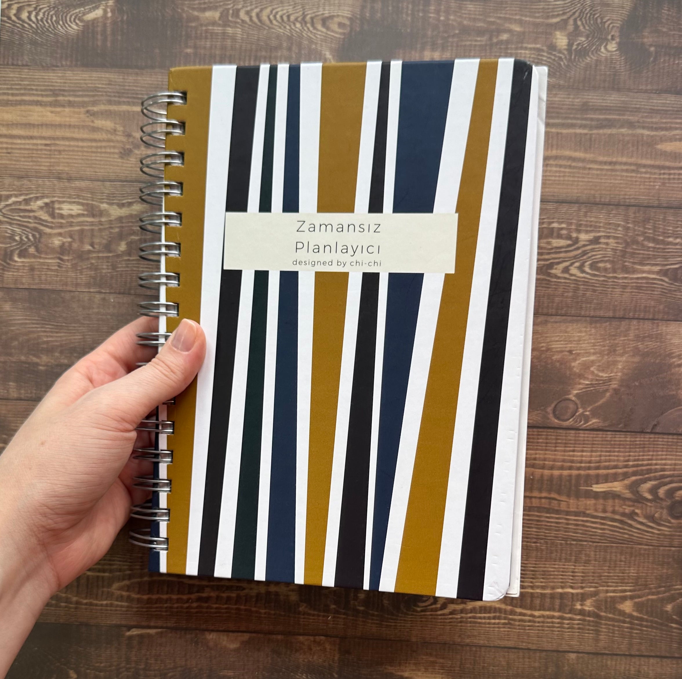 Kapakta Çizilme/Tel İzi Kusurlu || Zamansız Planlayıcı - Kelly Mavi