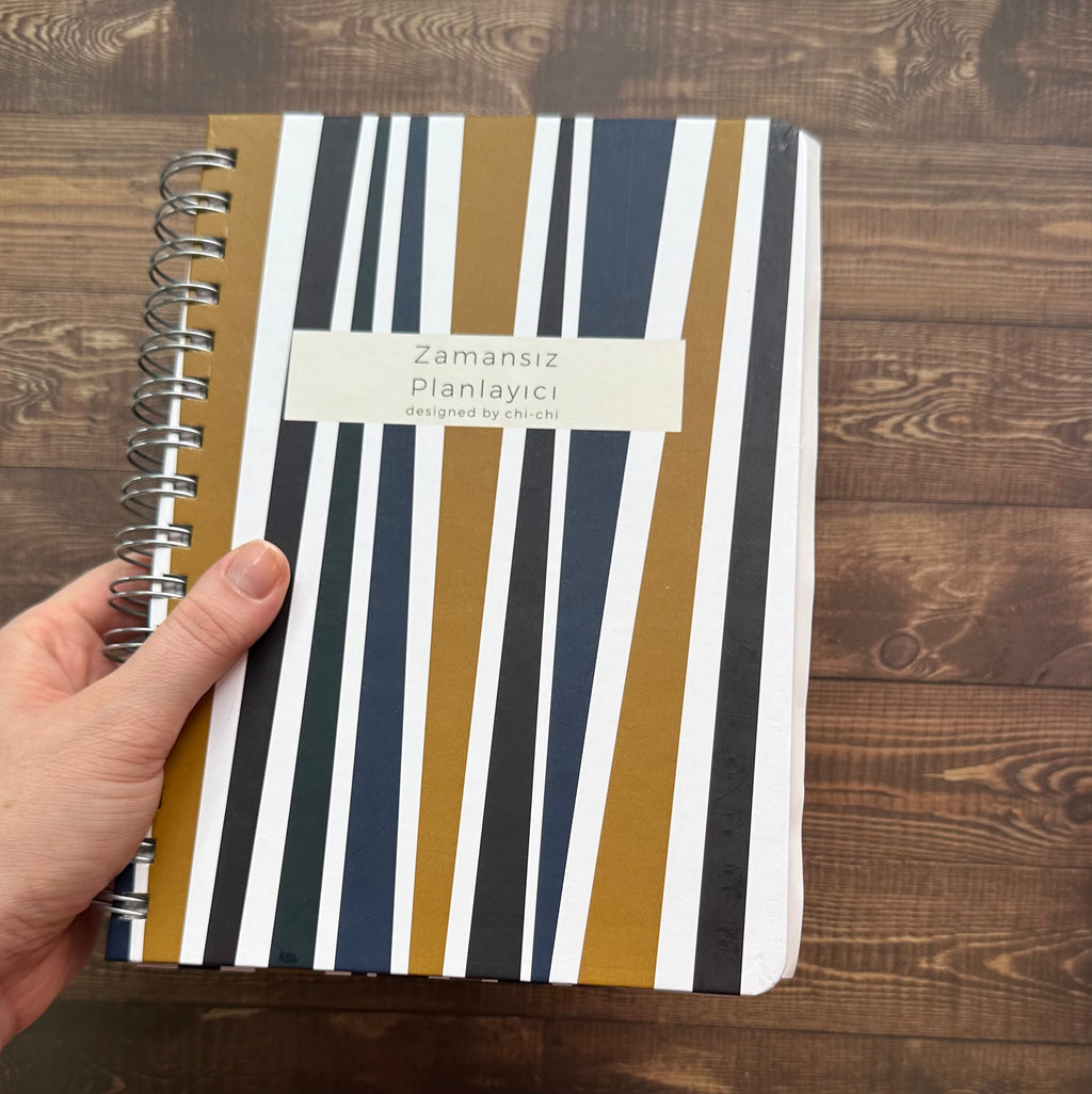 Kapakta Çizilme/Tel İzi Kusurlu || Zamansız Planlayıcı - Kelly Mavi