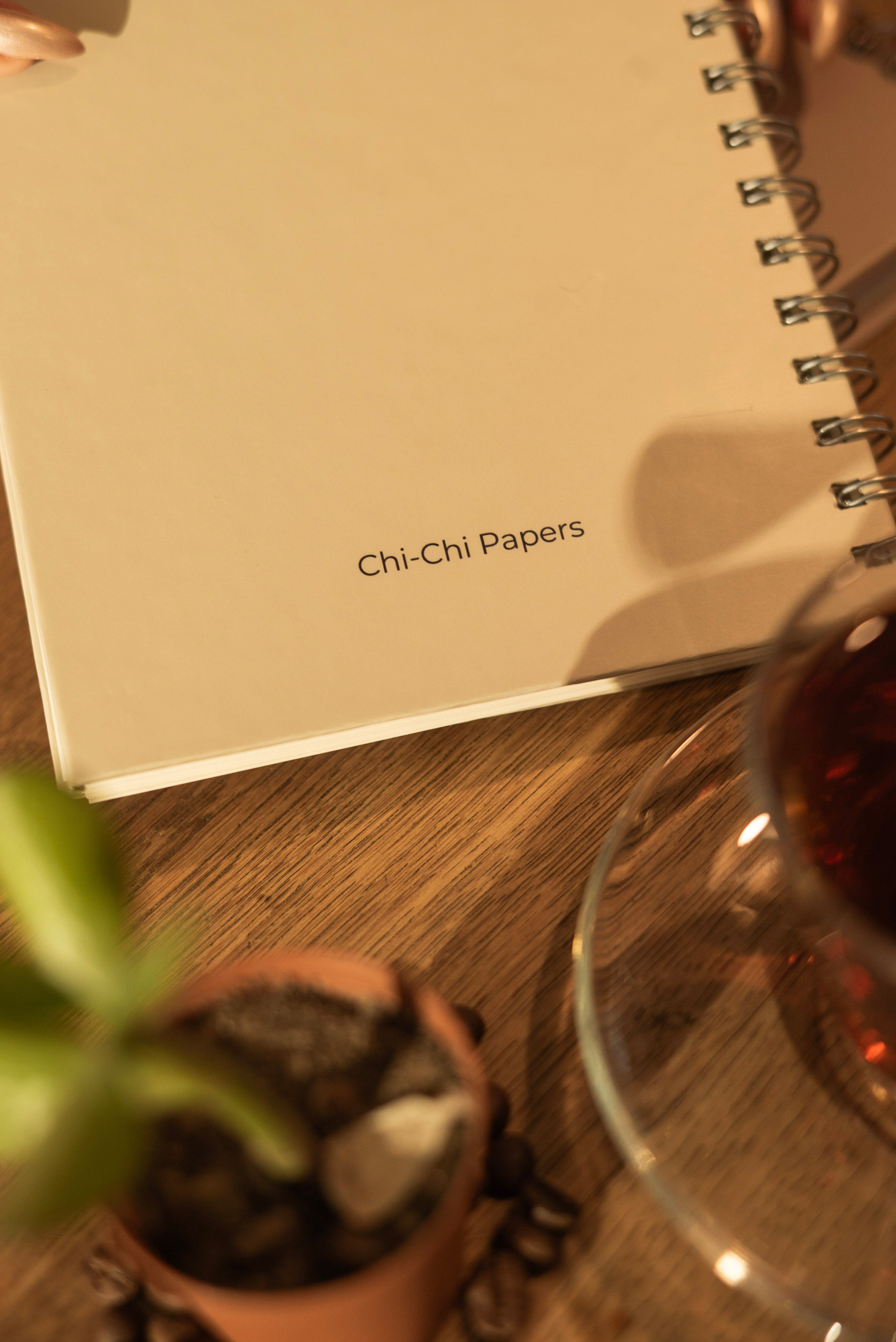 Telli Defter, Tarihsiz Ajanda, Anı Defteri - Gün Işığı