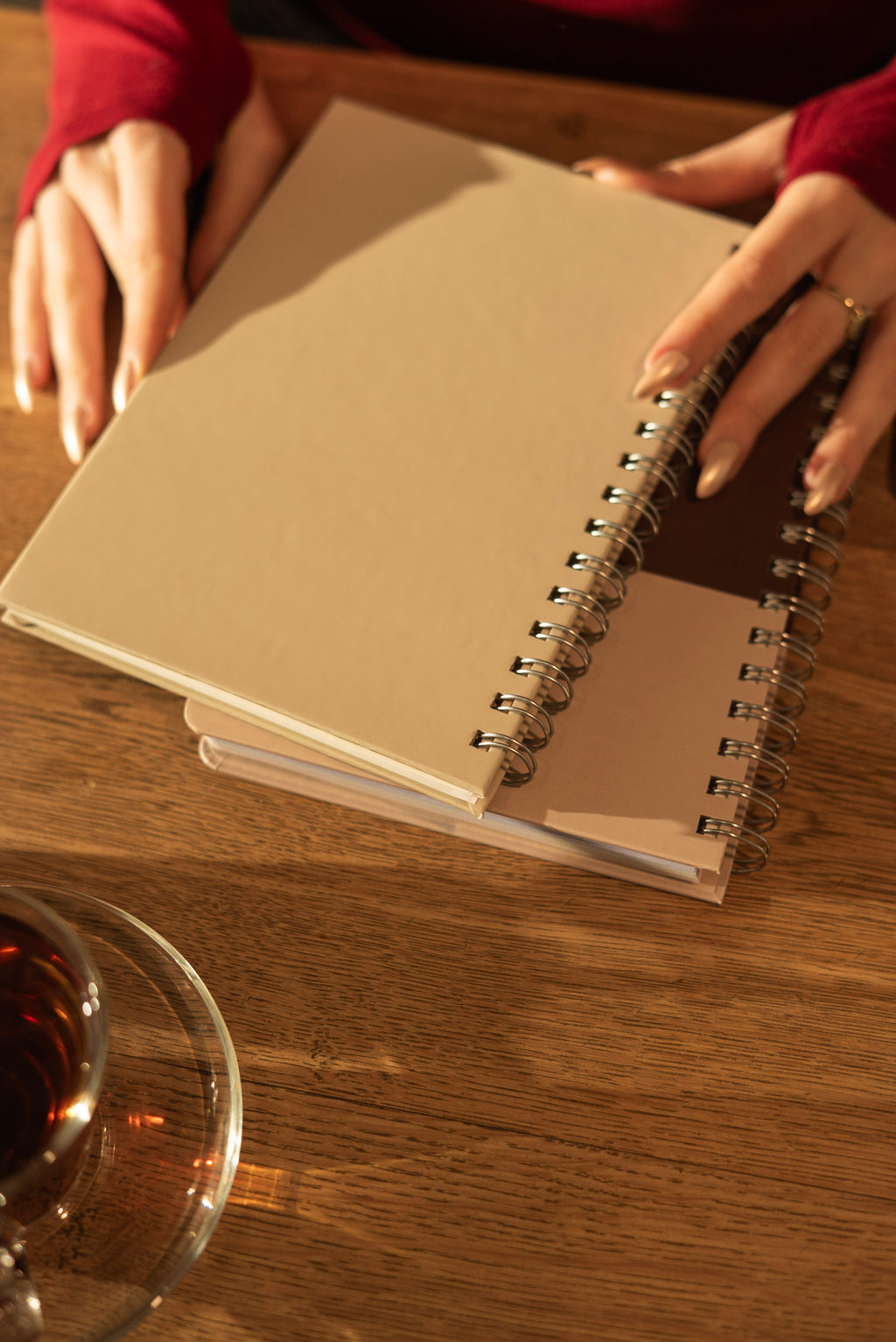 Telli Defter, Tarihsiz Ajanda, Anı Defteri - Gün Işığı