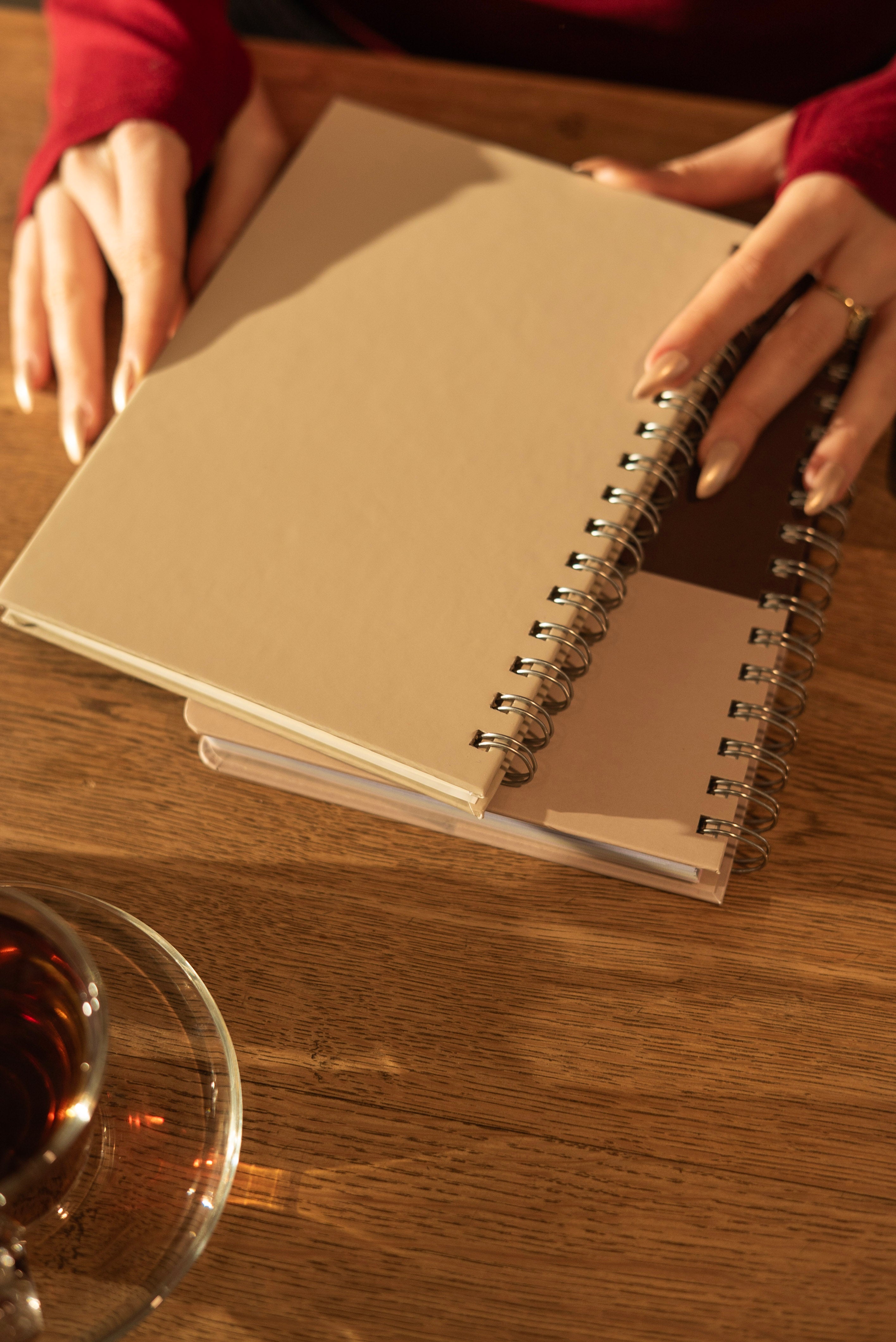 Telli Defter, Tarihsiz Ajanda, Anı Defteri - Gün Işığı