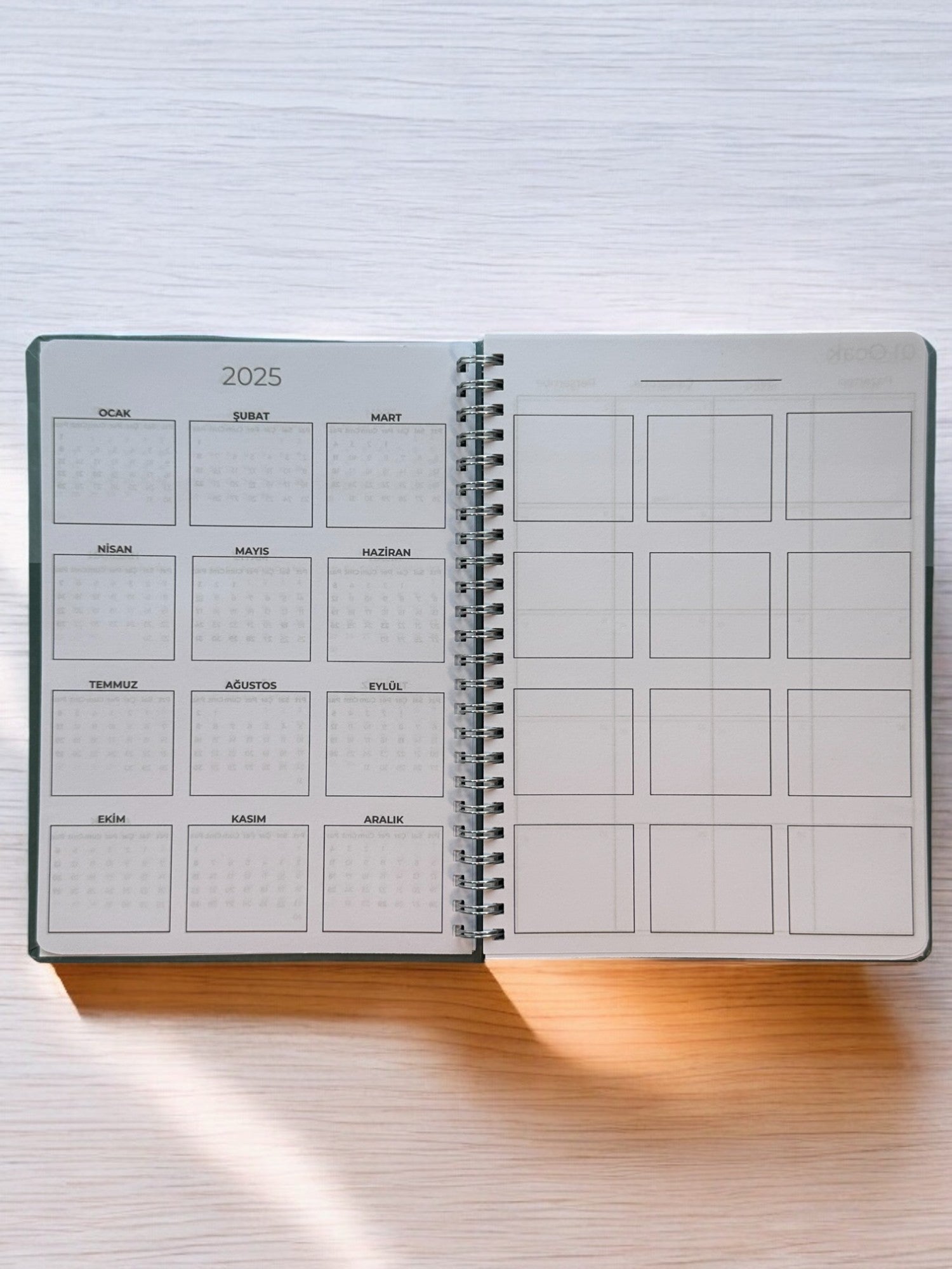 2025 Haftalık Ajandası - Olive