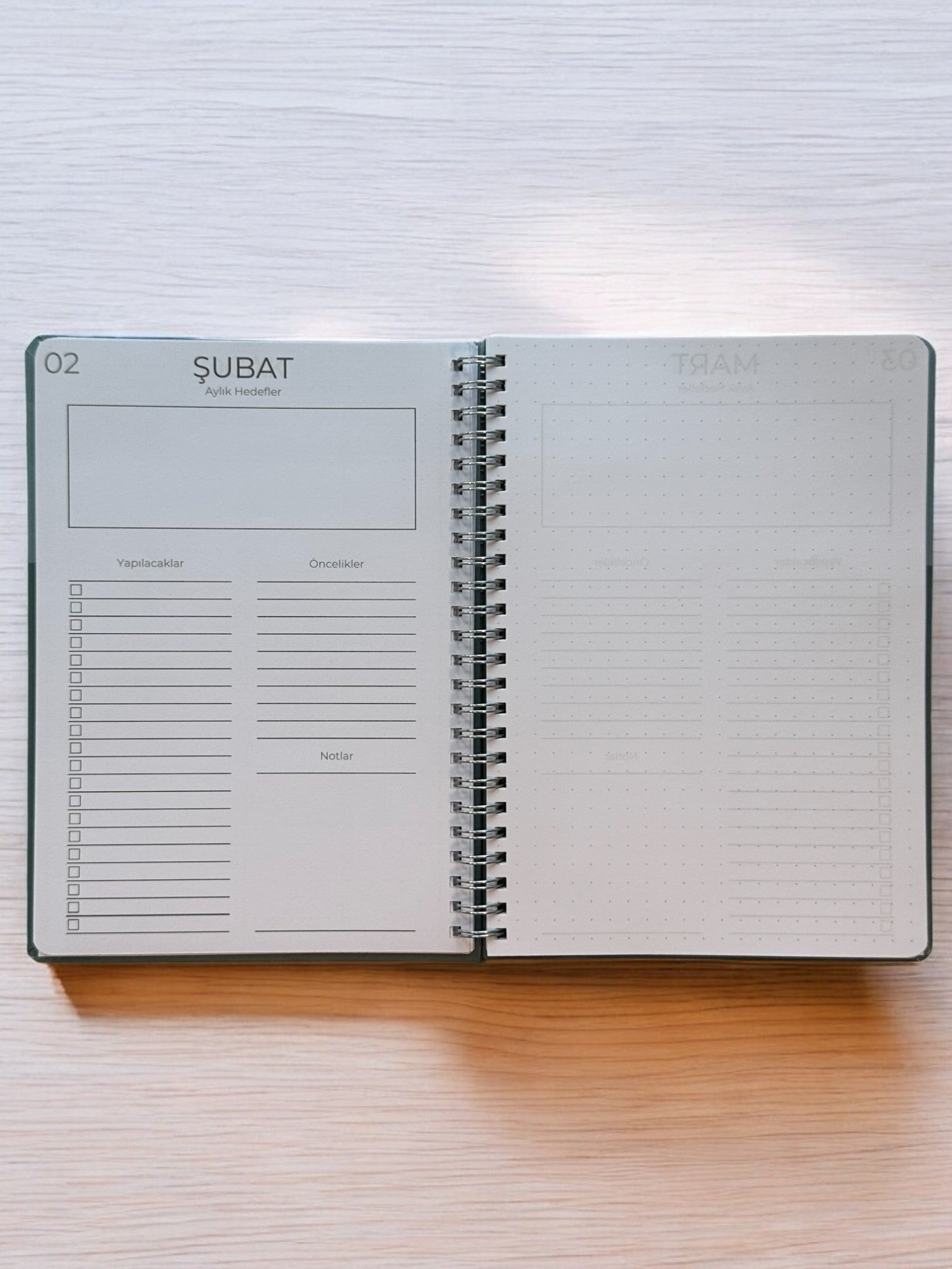 2025 Haftalık Ajandası - Olive