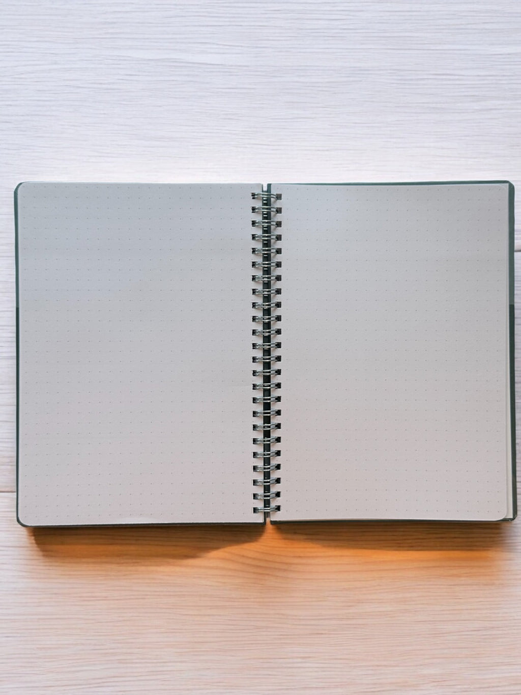 2025 Haftalık Ajandası - Olive