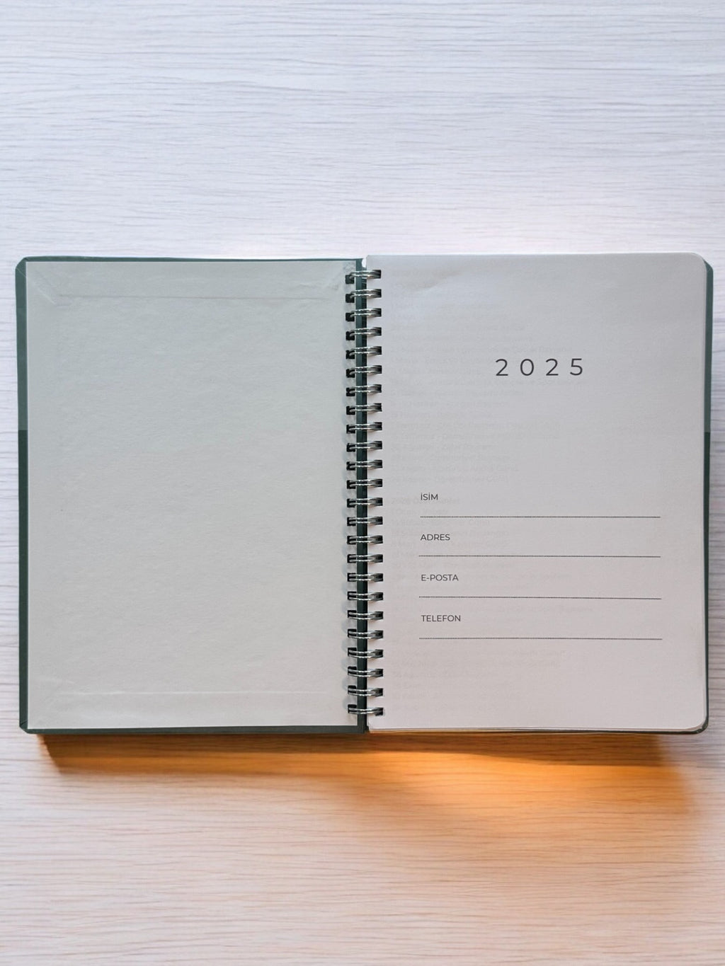 2025 Haftalık Ajandası - Olive