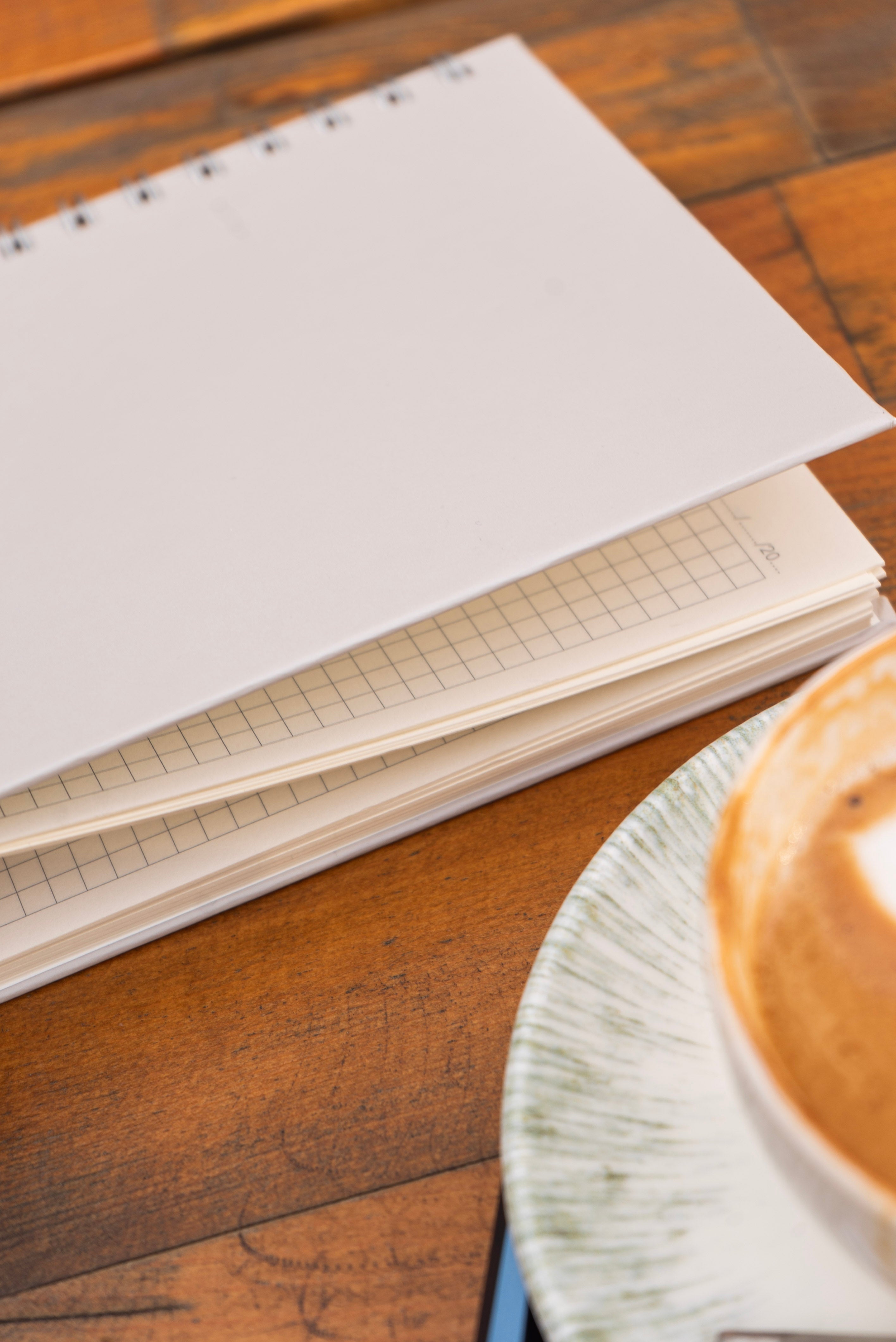 Telli Defter, Tarihsiz Ajanda, Anı Defteri - Aura