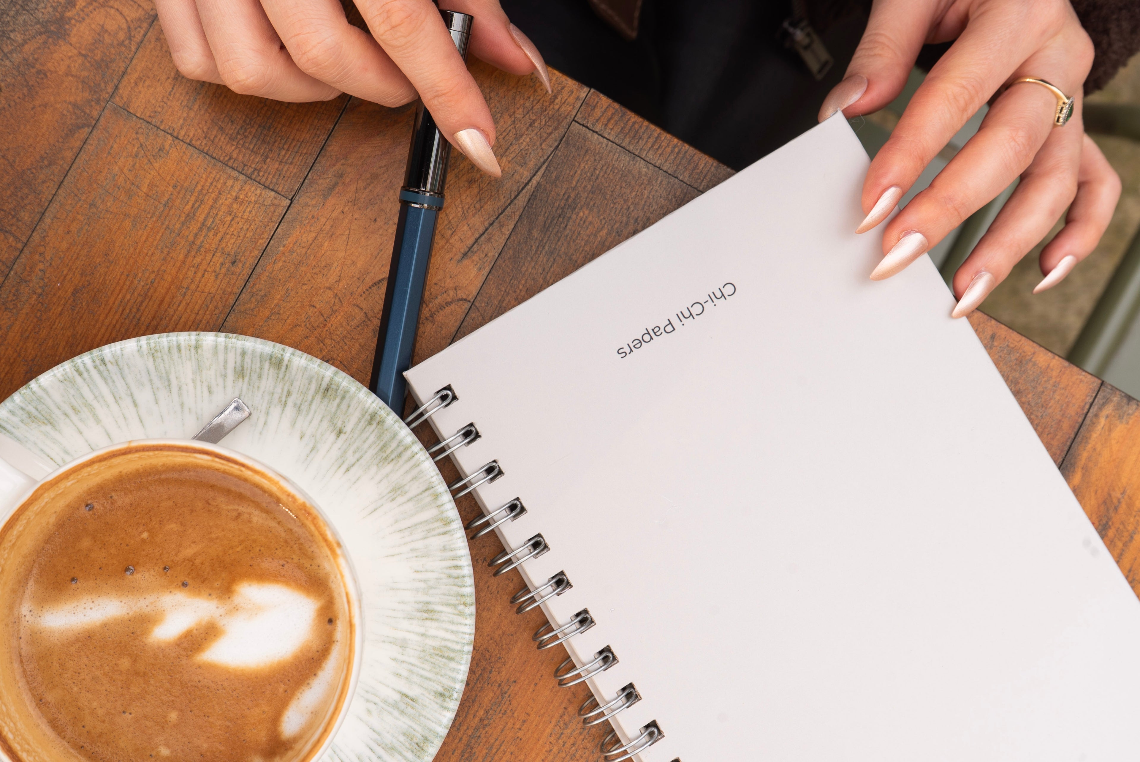 Telli Defter, Tarihsiz Ajanda, Anı Defteri - Aura