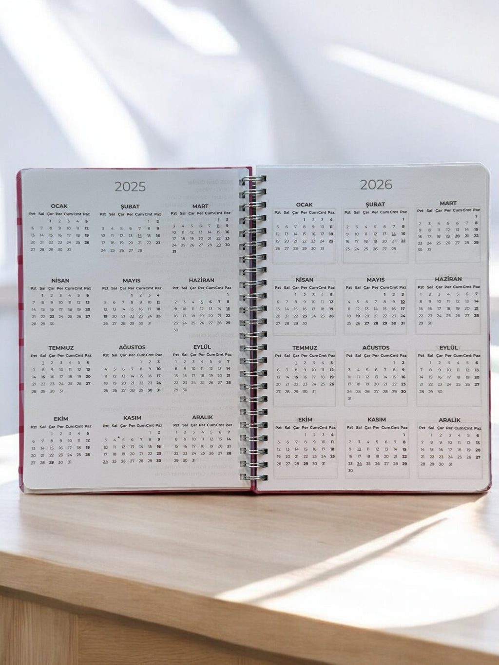 2025 Haftalık Ajandası - Pinko