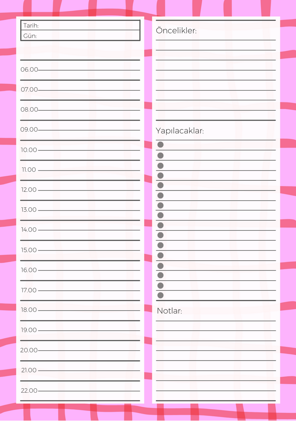 A5 Boyutunda Günlük Planlayıcı - Gününüzü Daha Verimli ve Düzenli Geçirin! - Pinko