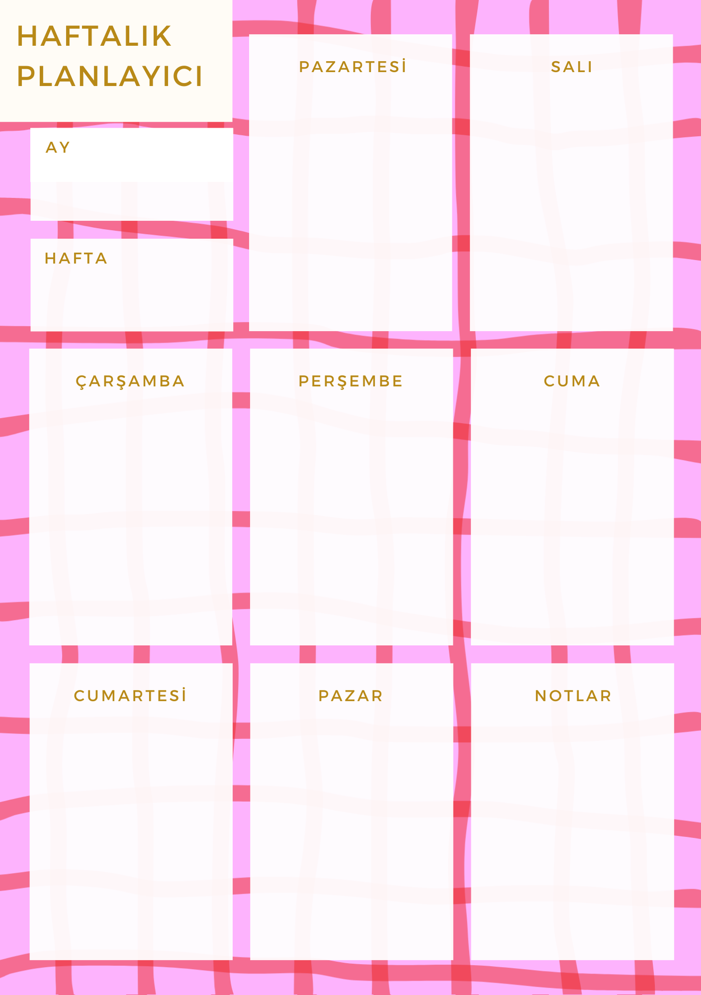 A5 Boyutunda Haftalık Planlayıcı - Organizasyon ve Verimlilik İçin Mükemmel Çözüm! - Pinko