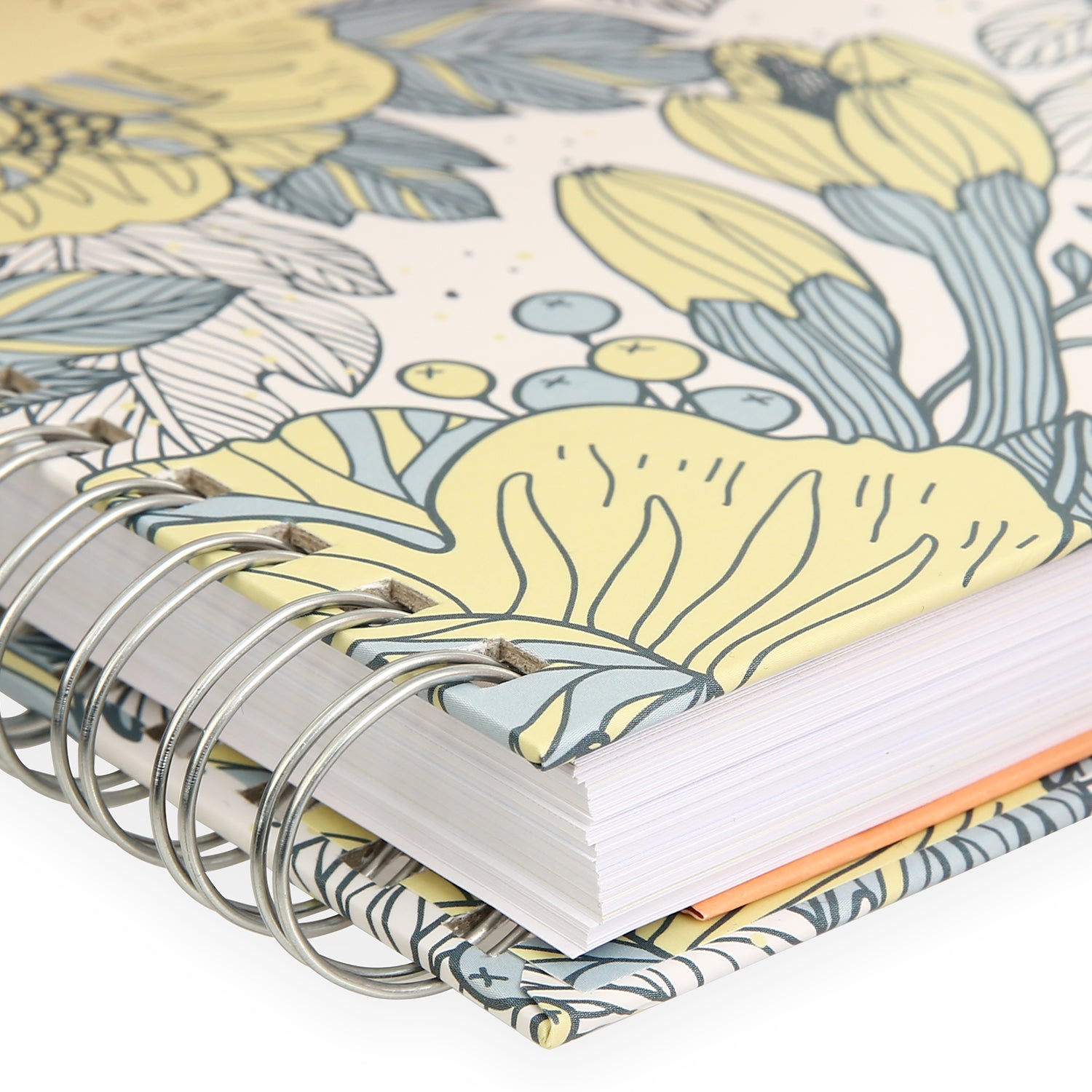 Zamansız Planlayıcı, Tarihsiz Ajanda, Süresiz Ajanda - Sandy